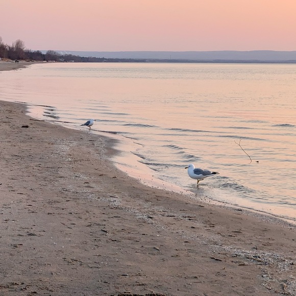 Meet your Posher, Angela - Picture 4 of 4